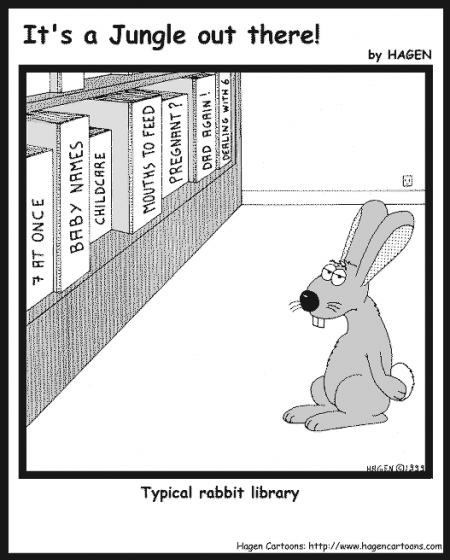 Las Herramientas que no deben faltar en su Biblioteca
